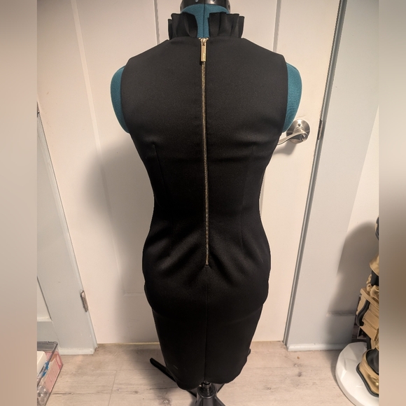 Calvin Klein Ruffle Neck Dress - Picture 2 of 10